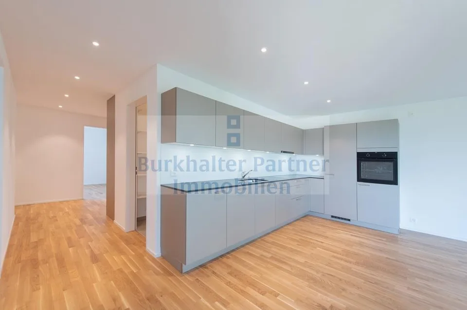 Attic apartment in Lyss wanted?