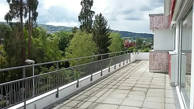 Appartement moderne avec terrasse sur le toit spacieuse