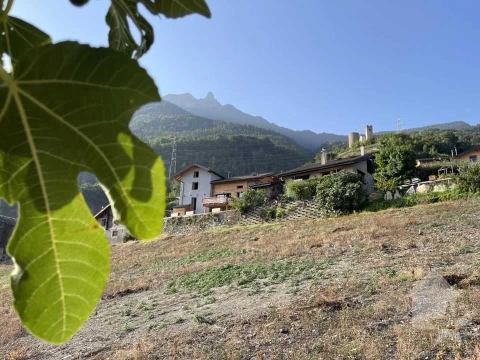 Apartment 4.5 rooms with garden of 208m2, new promotion