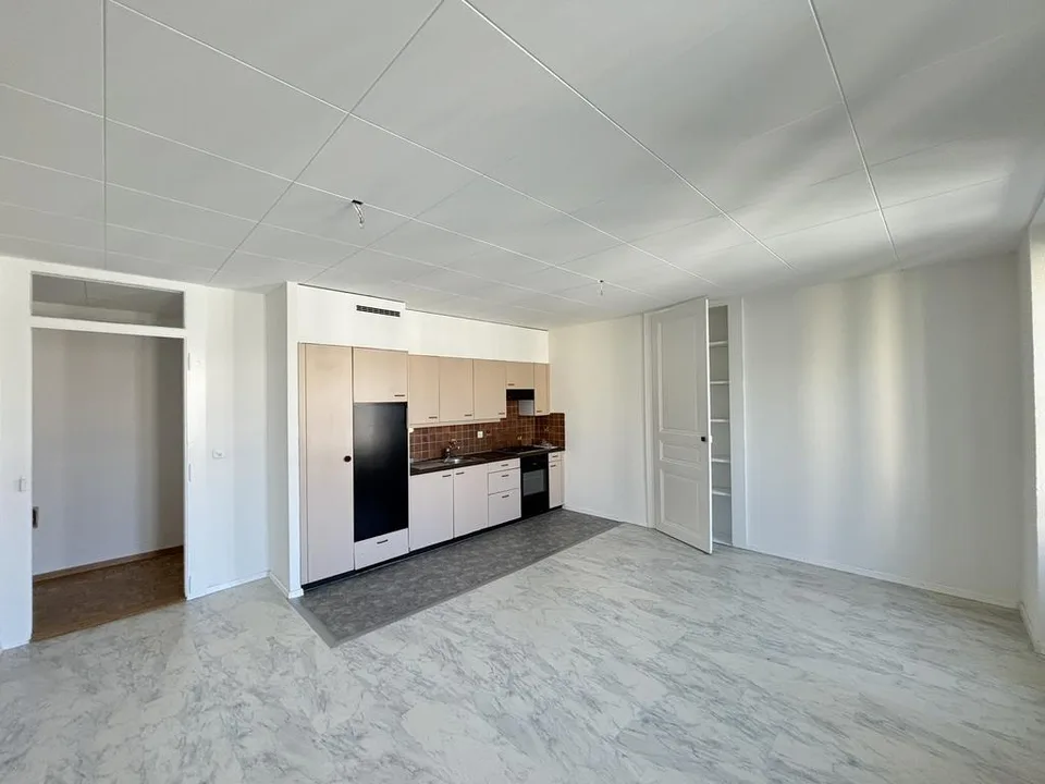 Grand appartement de 3 pièces au centre de Lausanne
