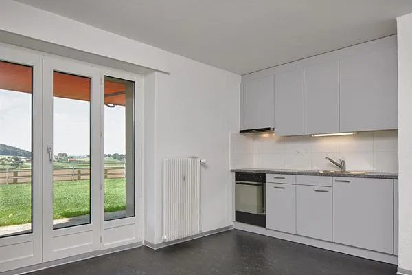 Apartment wanted?