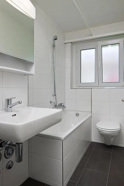 Apartment wanted?