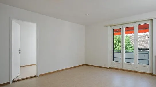 Apartment wanted?