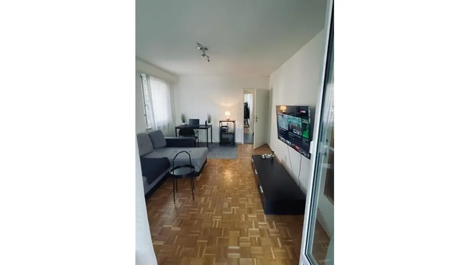 3½ ZI-WOHNUNG IN BOTTMINGEN (BL), MÖBLIERT, TEMPORÄR