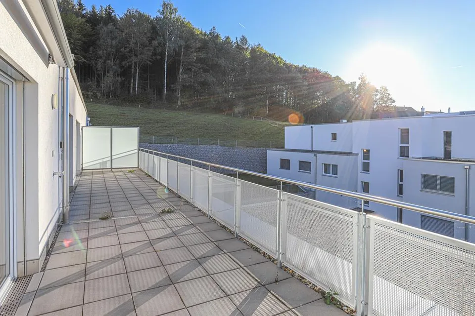 Helle  Attikawohnung mit grosser Terrasse