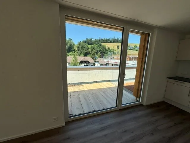 Charmante 3.5-Zimmer-Attikawohnung, grosser Balkon, Neubau Erstbezug