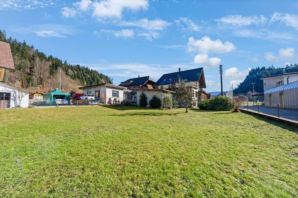 House with workshop and annex apartment