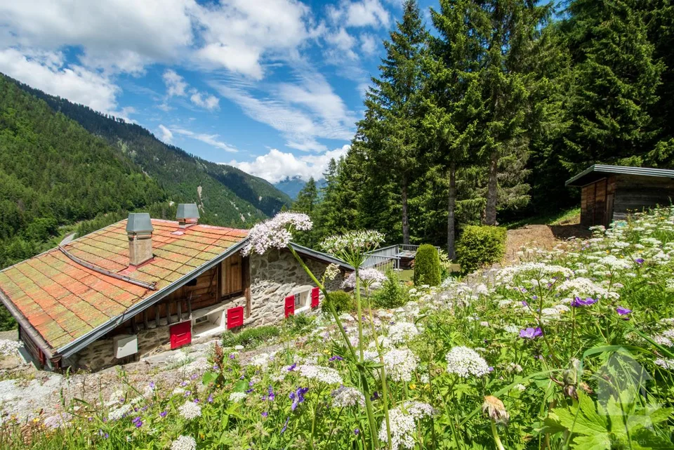 Chalet to renovate in the heart of nature