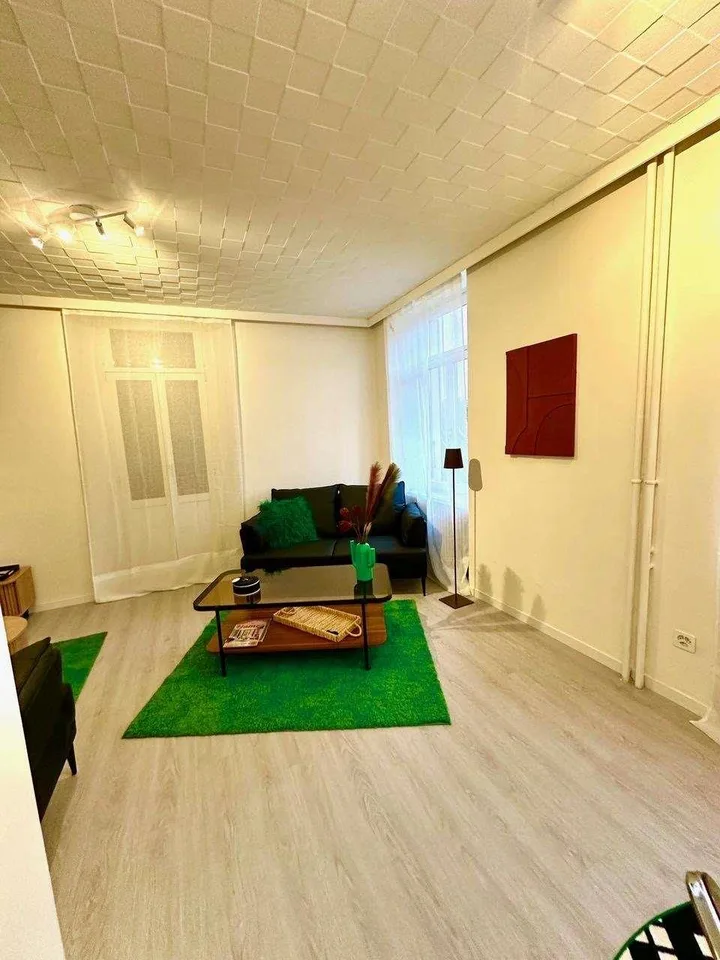 Bellinzona Centro - Prestigioso 4.5 Locali in Villa d'Epoca di Sole 3