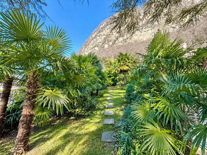 Accogliente villa tutta su un piano con grande bel giardino e piscina – foto 7 di 14