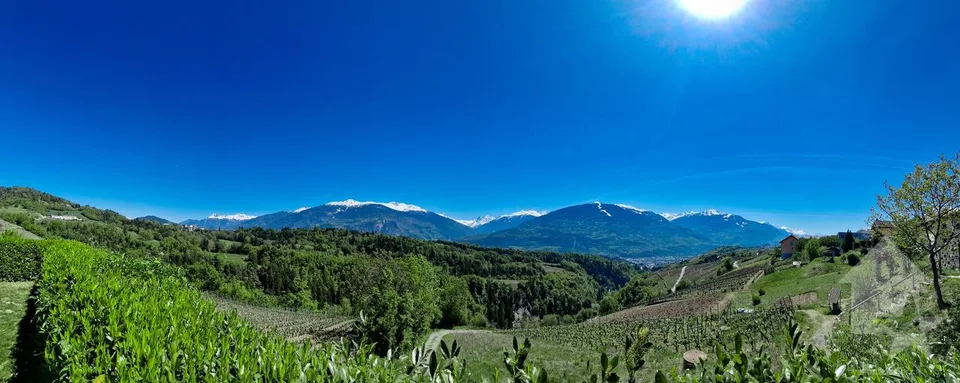 Villa de 5.5 pièces en bordure de vignes, vue splendide, calme, ensoleillé – Foto 12 von 12