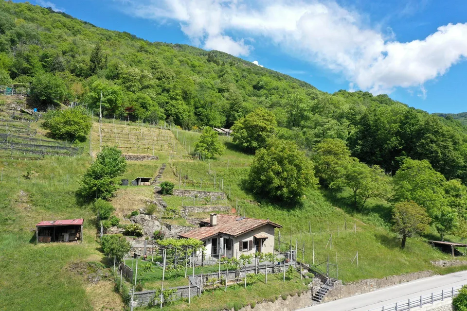 Bella casa in una posizione tranquilla e bel vigneto a Medeglia