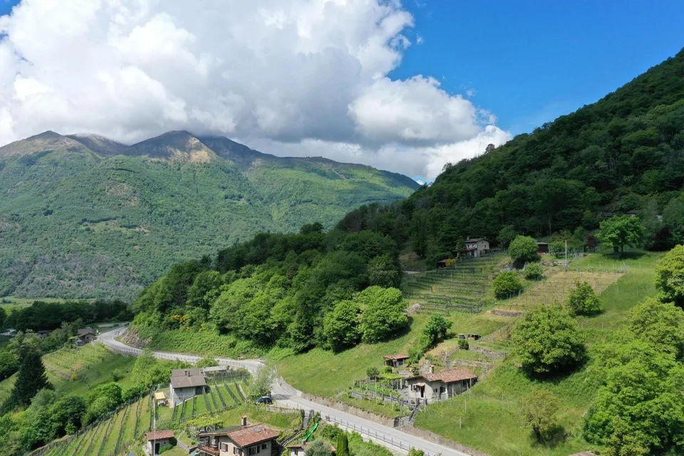 Bella casa in una posizione tranquilla e bel vigneto a Medeglia