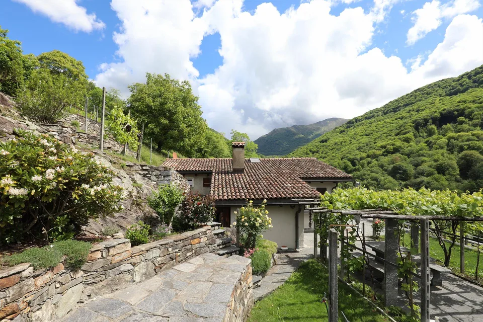 Bella casa in una posizione tranquilla e bel vigneto a Medeglia