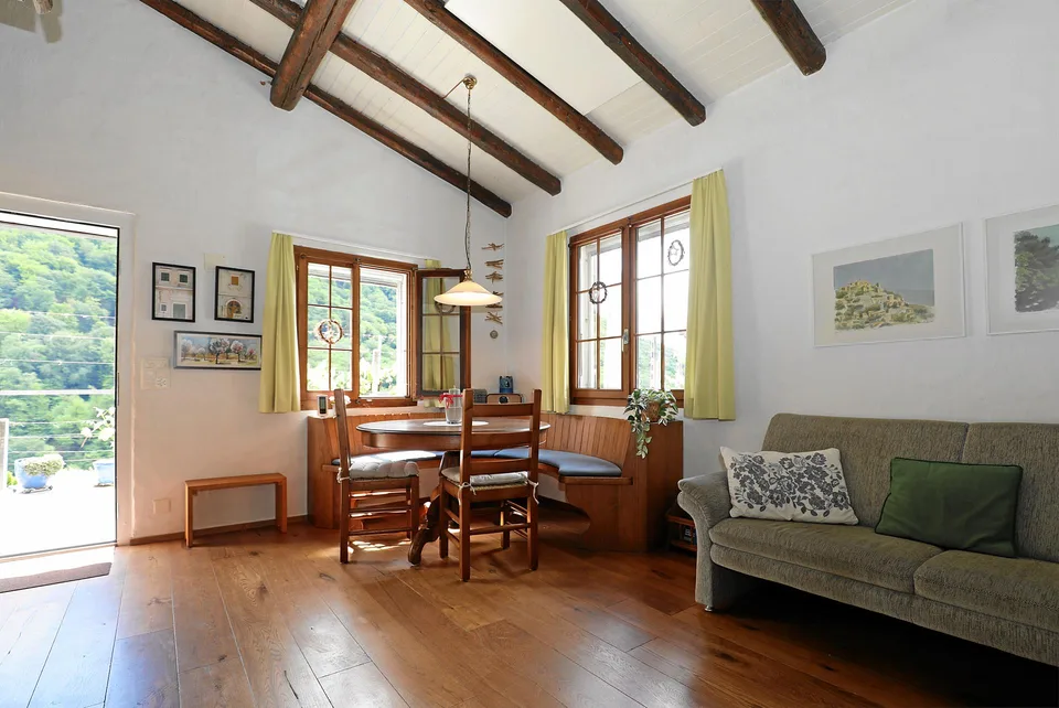 Bella casa in una posizione tranquilla e bel vigneto a Medeglia