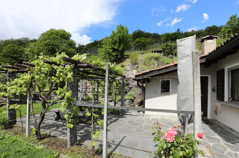 Schönes Haus in ruhiger Lage und schönem Rebberg in Medeglia
