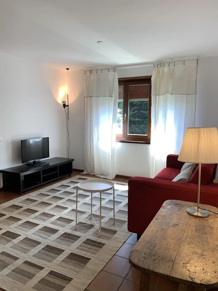 AGNO "Residenza La Bolla" Affittiamo Appartamento 2 locali ammobiliato