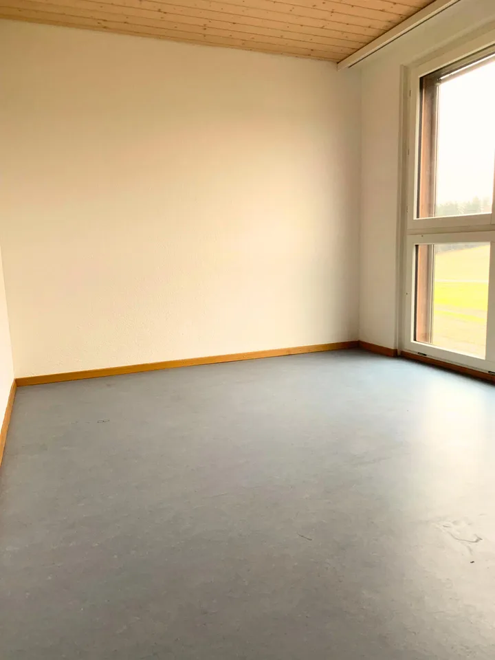 First month free in your new beautiful affordable attic apartment with chimney – photo 14 of 46