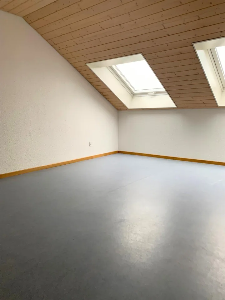 First month free in your new beautiful affordable attic apartment with chimney – photo 13 of 46