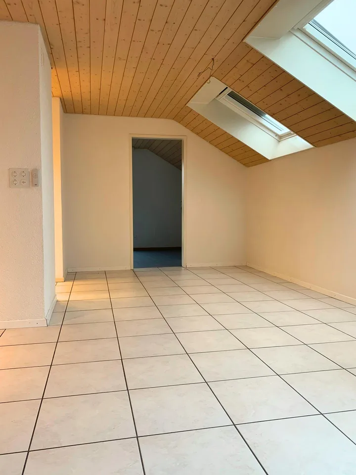 First month free in your new beautiful affordable attic apartment with chimney – photo 9 of 46