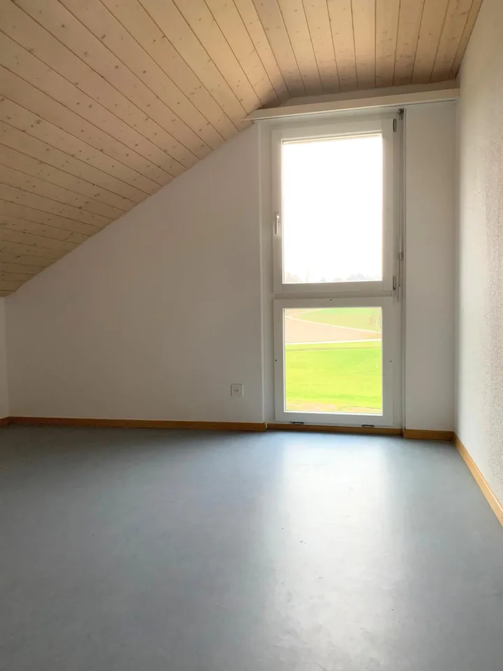 First month free in your new beautiful affordable attic apartment with chimney – photo 15 of 46