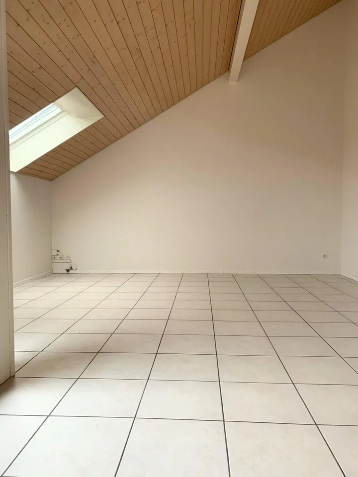 First month free in your new beautiful affordable attic apartment with chimney – photo 6 of 46