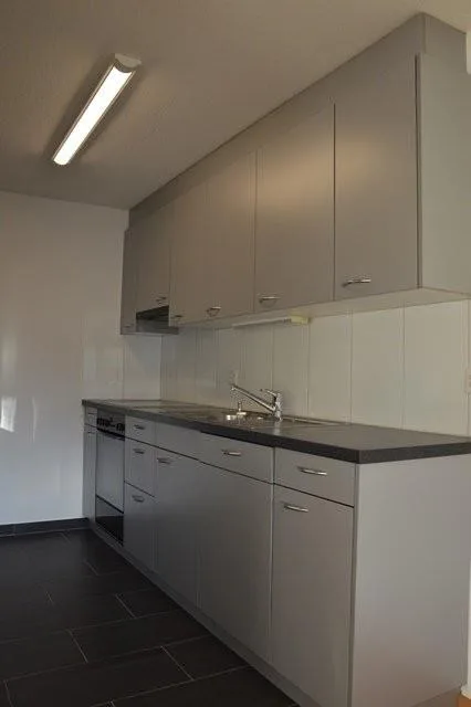4,5 pièces appartement