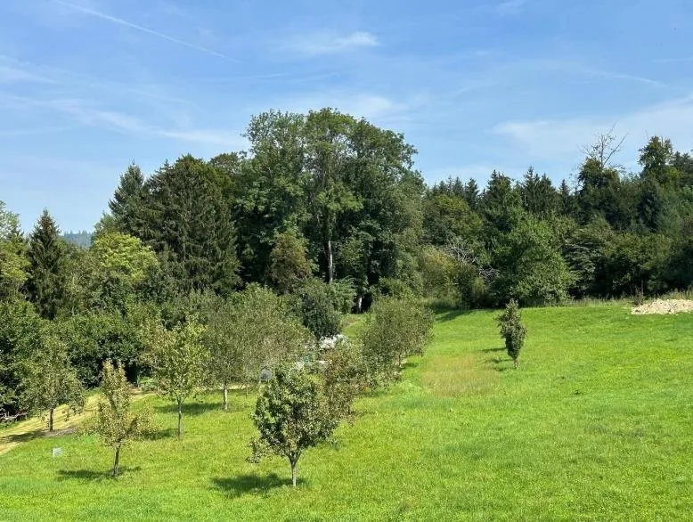 Una casa per le persone che cercano più di quattro mura – foto 14 di 20