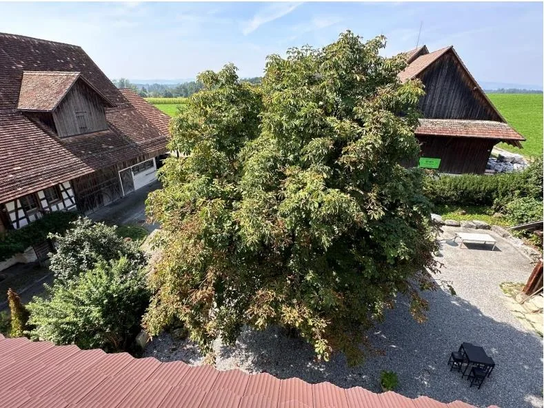 Una casa per le persone che cercano più di quattro mura – foto 12 di 20