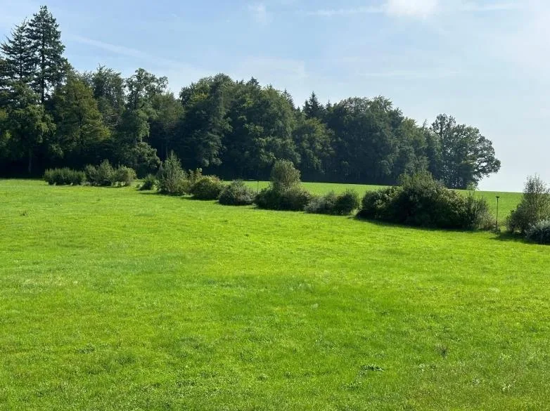 Una casa per le persone che cercano più di quattro mura – foto 15 di 20
