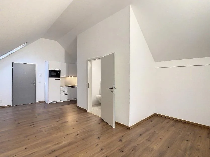 1-Room Studio in Oberglatt