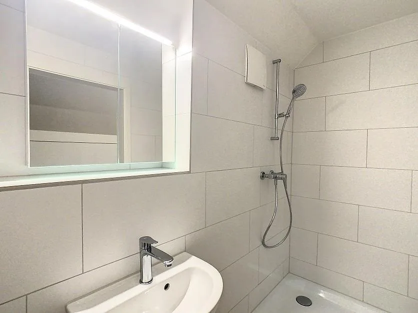 1-Room Studio in Oberglatt