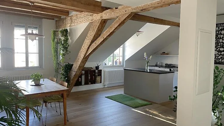 4½ ZI-WOHNUNG IN BERN - LORRAINE, MÖBLIERT, TEMPORÄR