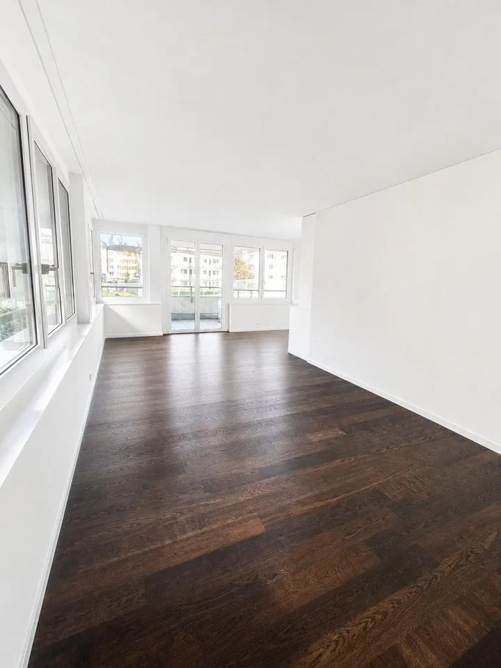 Helle 1-Zimmer-Wohnung an der Birchstrasse 98 in Zürich