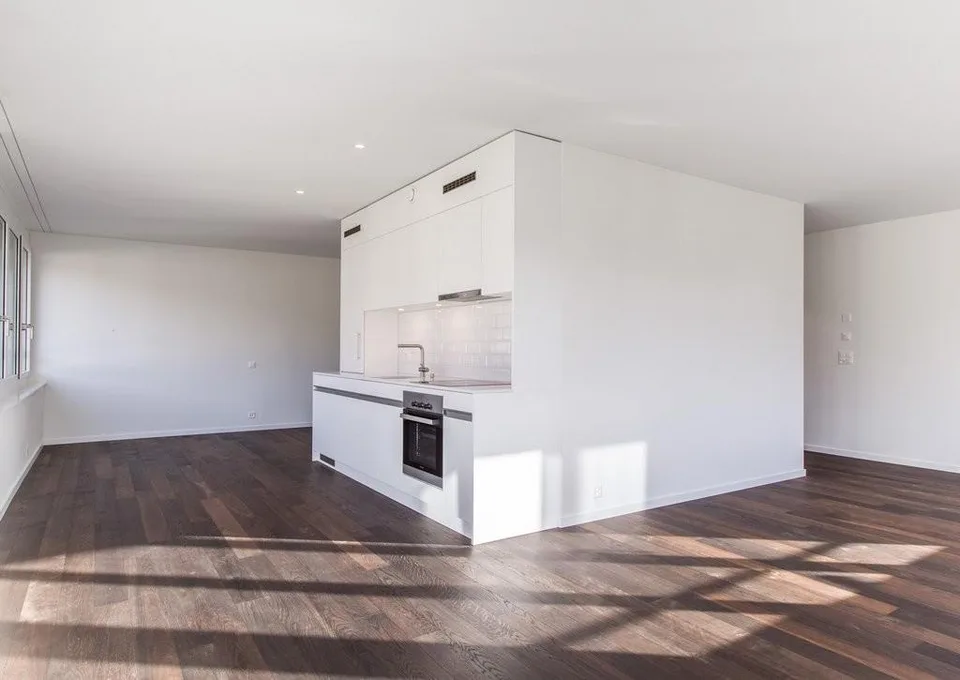 Helle 1-Zimmer-Wohnung an der Birchstrasse 98 in Zürich