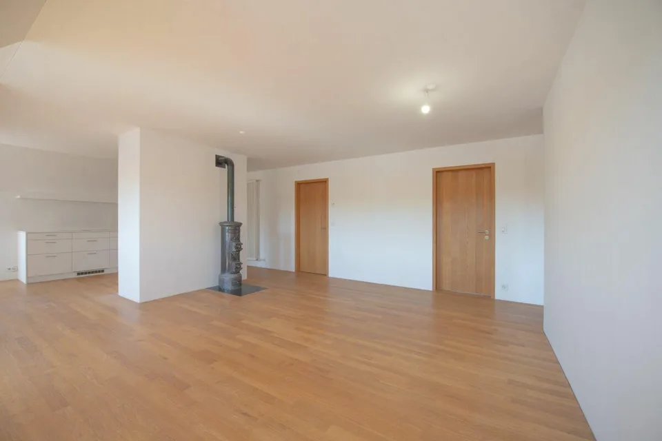 Exklusive Dachwohnung mit traumhaftem Rheinblick