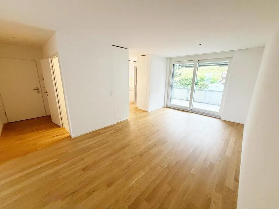 Bello appartamento nuovo in una posizione tranquilla con vista sul lago