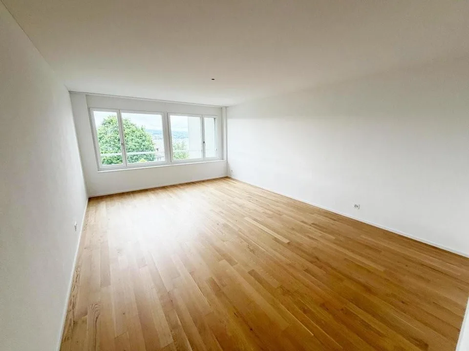 Bello appartamento nuovo in una posizione tranquilla con vista sul lago