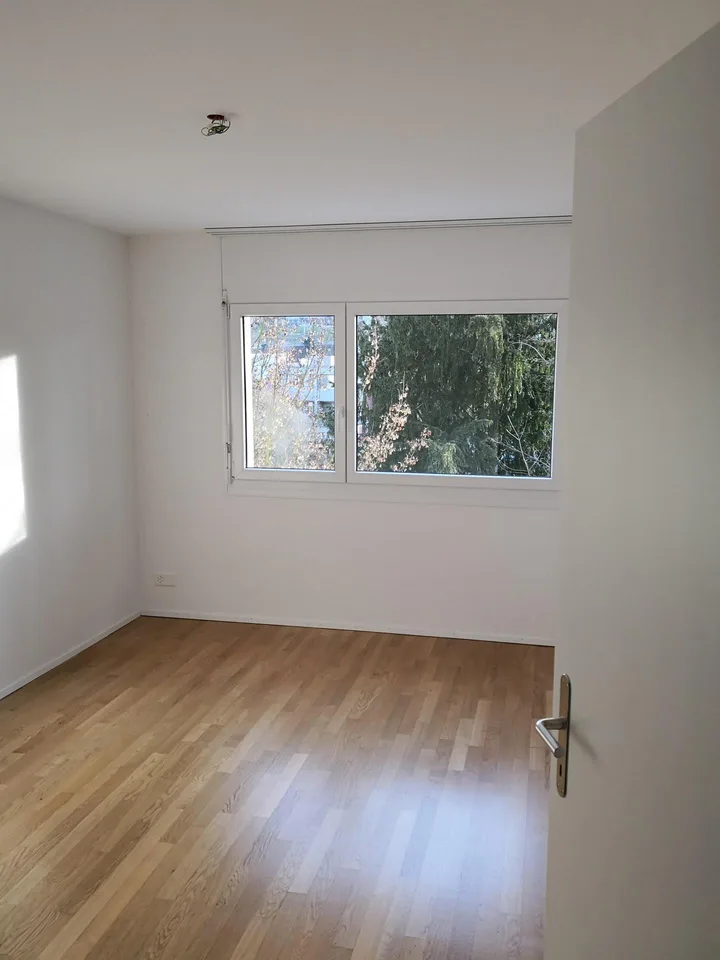 Bel appartement de 4,5 pièces ensoleillé à louer près du Rhin