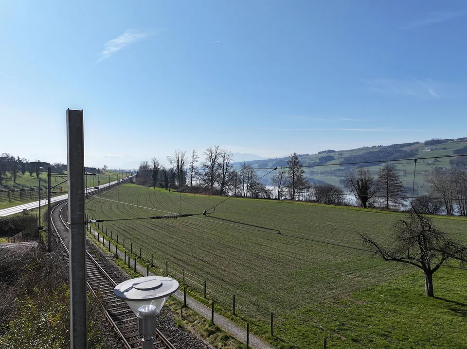 Inconfondibilmente individuale: "Turmfalke" sul lago di Baldegger, Gelfingen