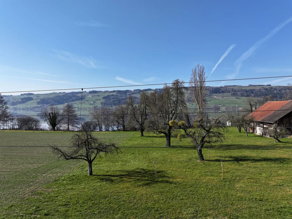 Inconfondibilmente individuale: "Turmfalke" sul lago di Baldegger, Gelfingen