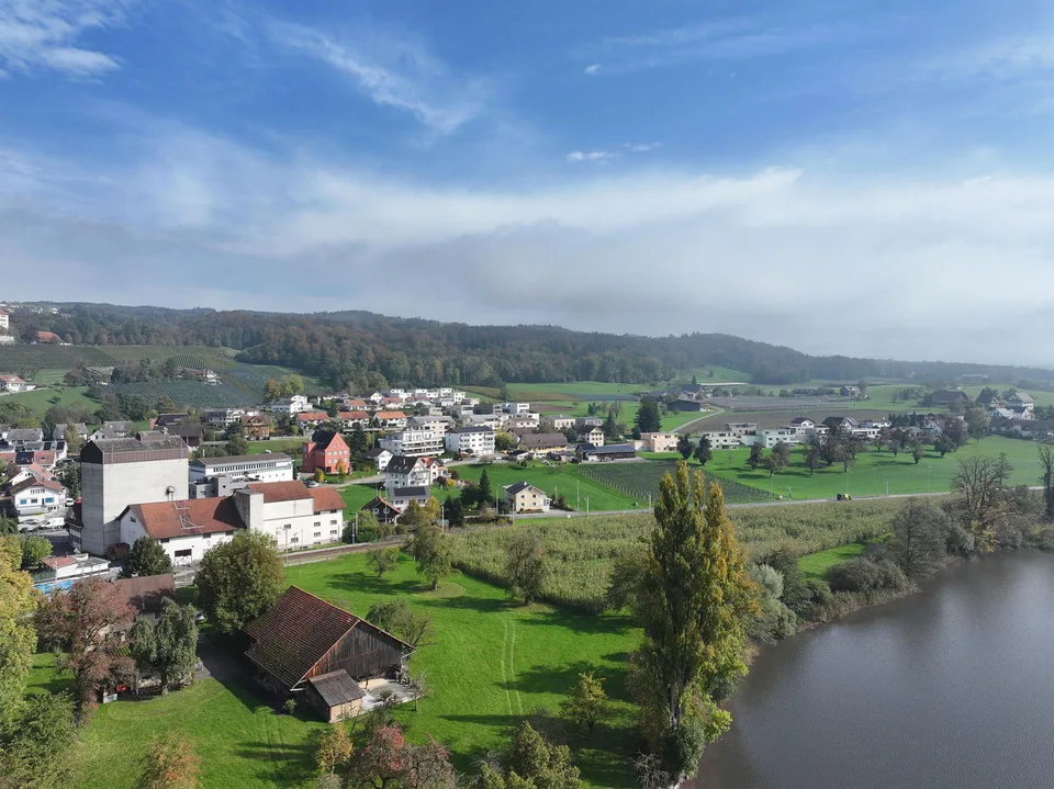 Inconfondibilmente individuale: "Turmfalke" sul lago di Baldegger, Gelfingen
