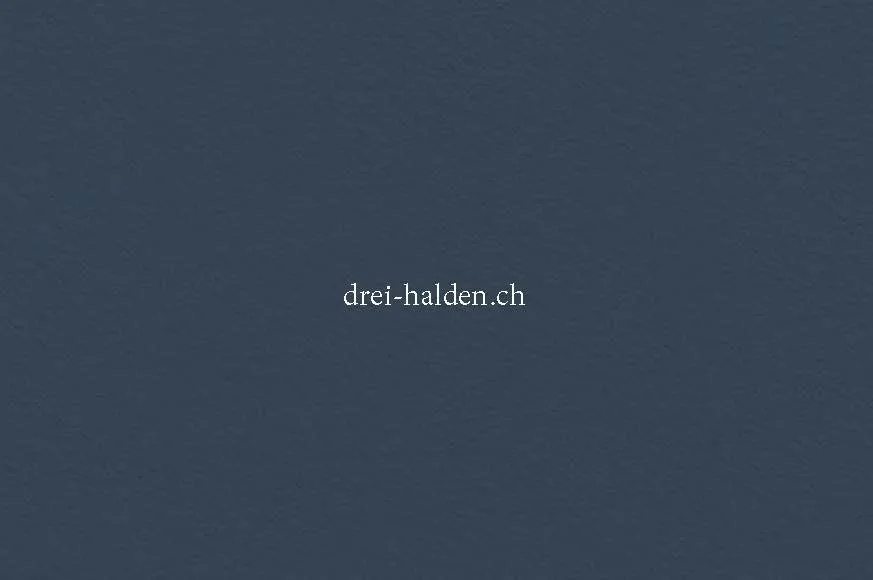 Neubauprojekt "Drei Halden" - 4.5-Zi. Wohnung im OG – Foto 9 von 10