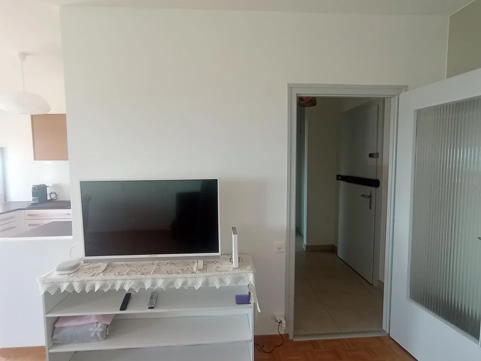 Möblierte Wohnung mit Balkon und Seeblick