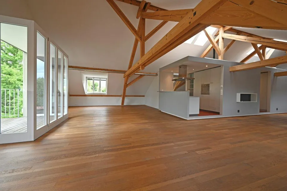 Appartement loft spacieux 2.5 pièces