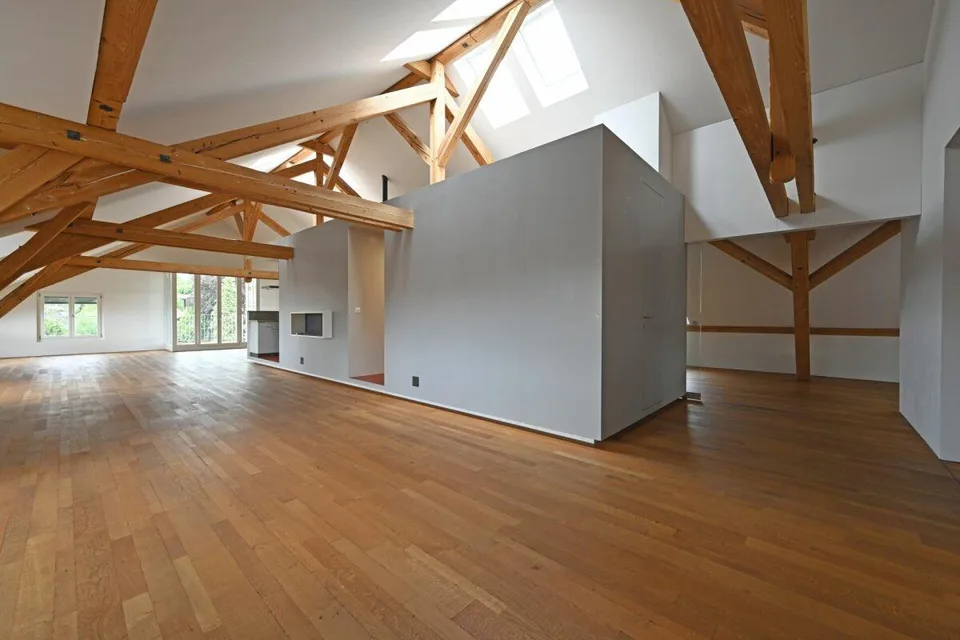 Appartement loft spacieux 2.5 pièces