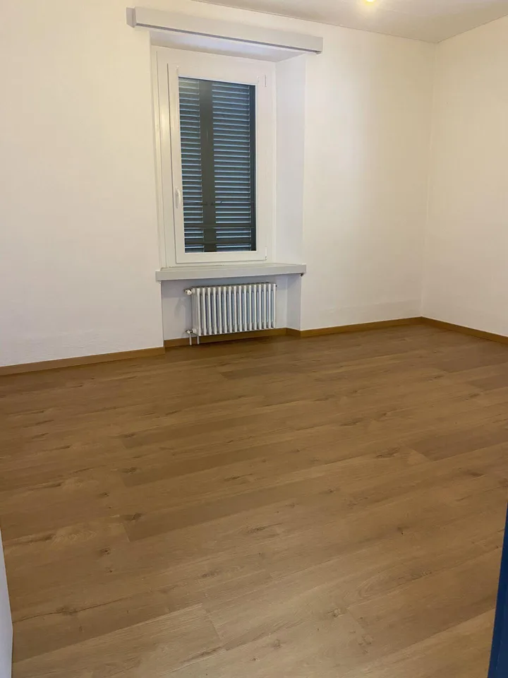 3.5-room apartment in Rivera