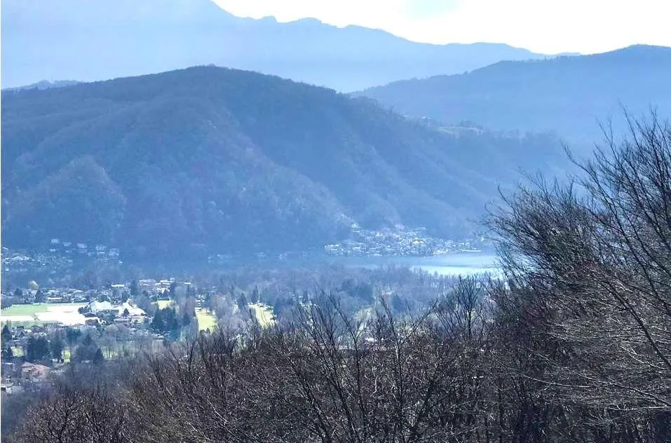 Schöne 7,5-Zimmer-Villa mit Seeblick im Grünen