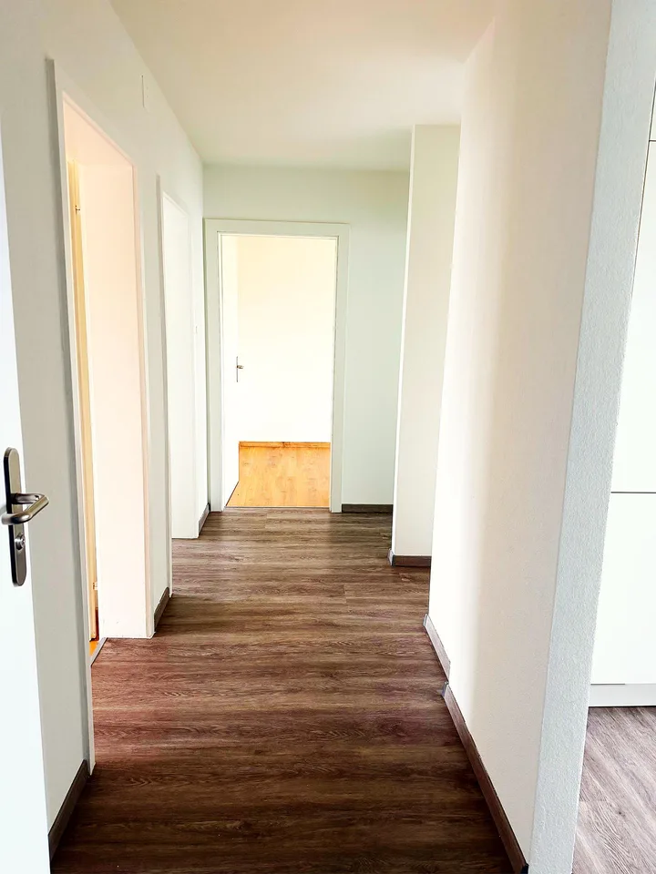 Charmante 3.5-Zimmer-Wohnung mit Balkon und schoener Aussicht in Stach