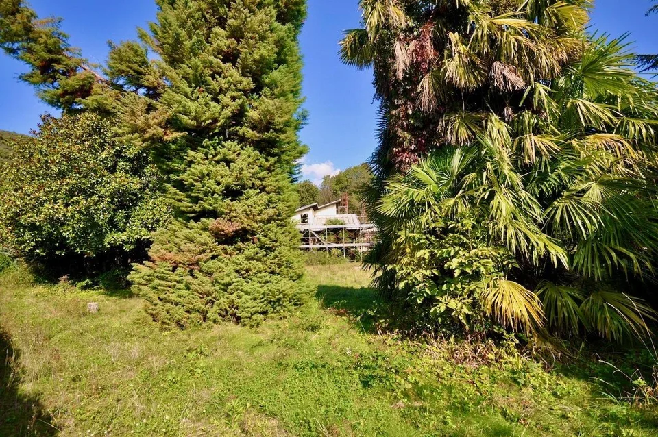 Villa da Ristrutturare Immersa in un Grande Parco con Tanta Privacy